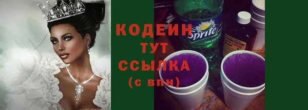 мдпв Ладушкин