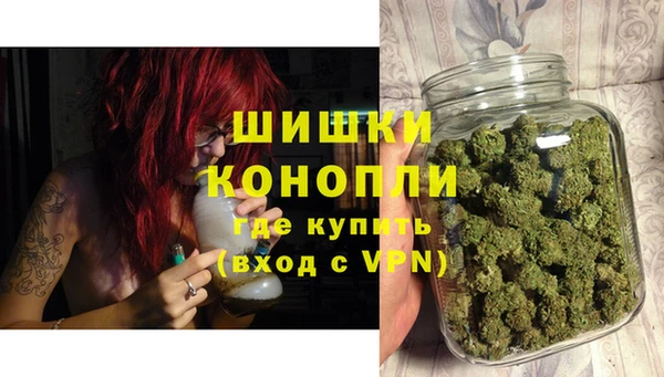 мет Лагань